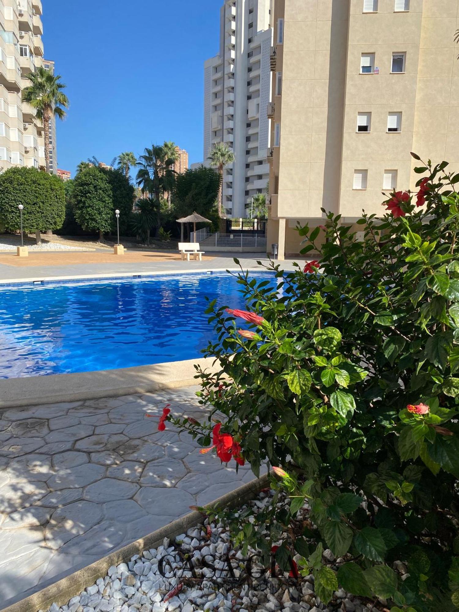 Casa Gia L Luxury Apartment בנידורם מראה חיצוני תמונה